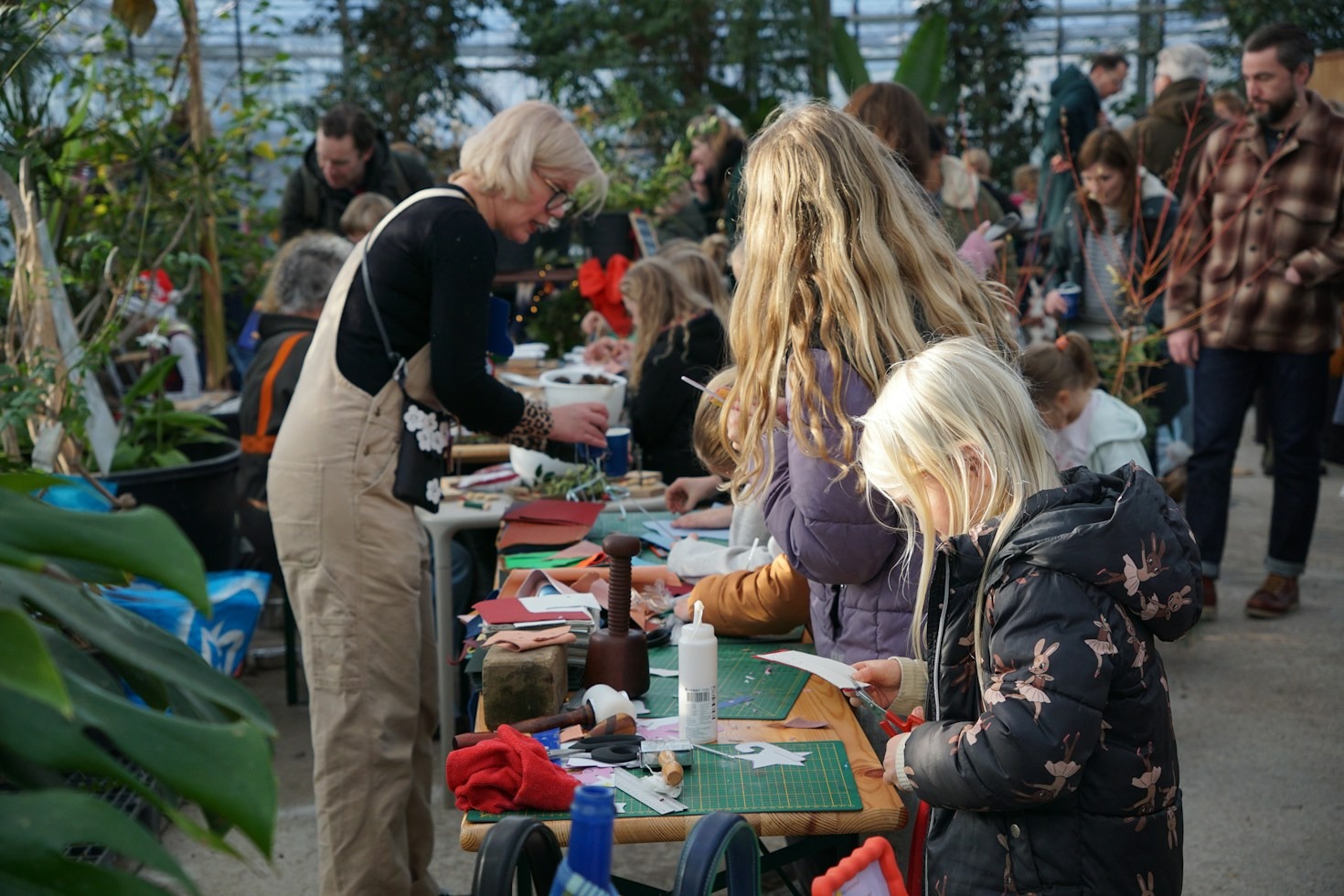 Holistic Family Health and Off-Grid First Aid